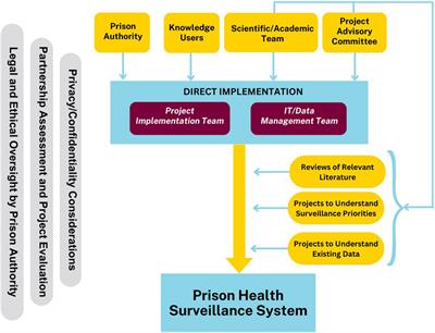 A Process Model of Formative Work to Strengthen a Prison Health Surveillance System